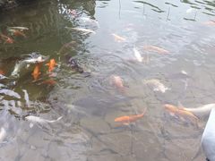 -蝴蝶泉公园
