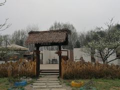 -桤木河湿地公园