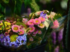 -杭州街角花屋花店(闻堰店)