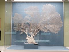 -中国湿地博物馆