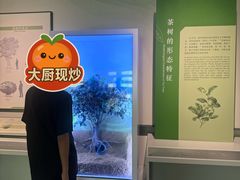 -中国茶叶博物馆(双峰馆区)