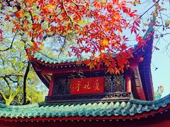 -岳麓山风景名胜区