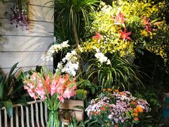 -春暖花开(西溪店)