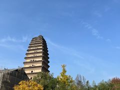 -马文章胖子甑糕(洒金桥店)