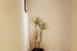 前台-ＤＯＭＯプロの美容サロン