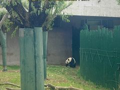 -沈阳森林动物园