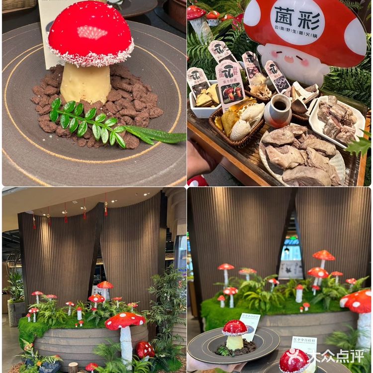 不在云南 在上海 涨见识了