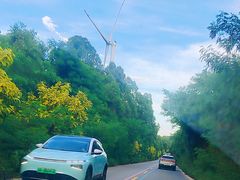 -汕尾风车岛