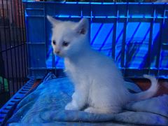 -赢吧Bliss音乐酒吧