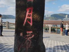 -金盆阿嬷香菇茶叶蛋(玄光店)