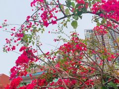 -豆舞咖啡(民乐路店)