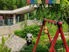 -天津市动物园
