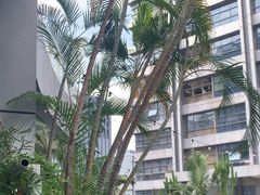 -CIAO·团建聚餐·生日派对轰趴馆(福田店)