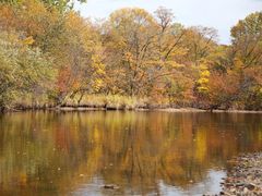 -莫尔道嘎国家森林公园