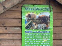 -长白岛森林公园