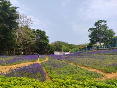 -龙凤山庄影视度假村