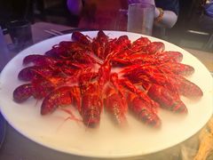 -红盔甲·小龙虾(定西路店)