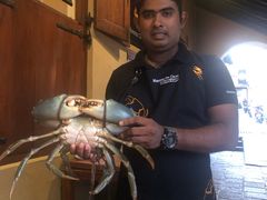 -Ministry of Crab(科伦坡店)