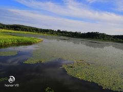 -塞罕坝国家级自然保护区