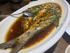 -洞庭渔人(沙湾店)