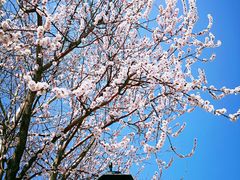 -天津东丽湖风景区