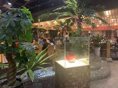 -春润大地海南椰子鸡(沙井京基百纳广场店)