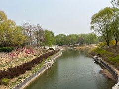 -大兴滨河森林公园