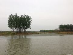 -微山湖红荷湿地景区