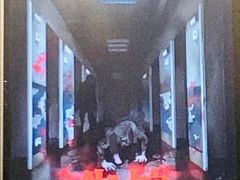 -Mr.Fox狐狸先生超级密室(南山店)