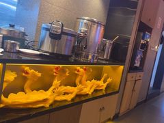 -重庆高老九火锅(万象城店)