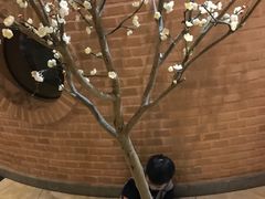 -纽斯桑拿会所(天山店)