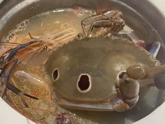 -加餐海鲜自助(宝龙一城店)
