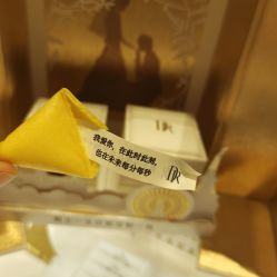 -DR钻戒(郑州国贸360店)