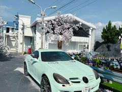 -Blue Concept Cafe&Farm·關於藍
