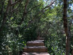 -白草畔自然风景区