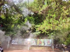 -芦仙山景区-飞越丛林探险乐园