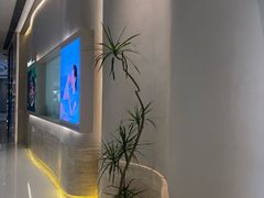 -WenTinG文汀·半糖蛋糕(合生汇店)