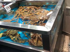 水产区-盒马鲜生(189购物中心店)