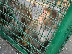 -南京金牛湖风景区