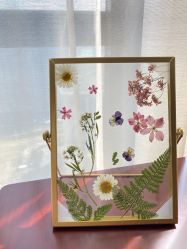 -舒雅母婴护理中心(天虹中心)