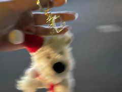 -福州大学(旗山校区)