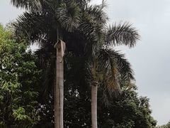 -广州市白云山风景名胜区