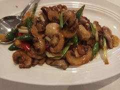 -眉州东坡(博雅店)