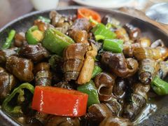 紫苏山坑螺-园林美食城·本土农家菜(杨和镇店)