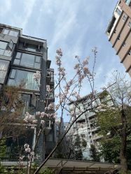 -Easyfun舞蹈生活馆