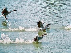 -艾溪湖湿地公园