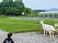 -加顺农场餐厅