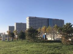 -首都医科大学附属北京天坛医院