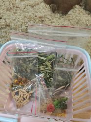 -神奇动物撸宠馆·羊驼·小浣熊·异宠(豫园店)