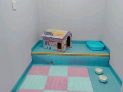 -博特宠物医院24h犬猫全科.骨科·异宠